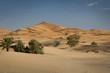 Oase in der Wüste, Marokko, Sahara
