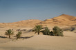 Foto: Oase in der Wüste, Marokko, Sahara Oase in der Wüste, Marokko, Sahara