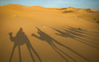 Kamelsafari in der Sahara