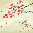 Japanese Cherry Blossom Japanese Cherry Blossom