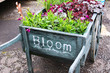 Cart with plants