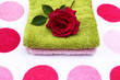 Rose and towels