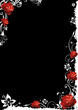 Rose, rote Rosen, Blumen, Blüten, flora, floral