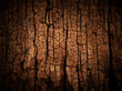 Old wood cracked texture Old wood cracked texture