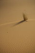 In der Wüste, Marokko, Sahara In der Wüste, Marokko, Sahara