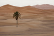 In der Wüste, Marokko, Sahara In der Wüste, Marokko, Sahara