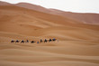 Foto: Kamelsafari in der Sahara Kamelsafari in der Sahara