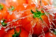Tomato Fountain