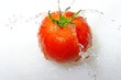 Splash Tomato - Tomatenfontäne