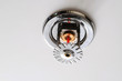 Fire Sprinkler
