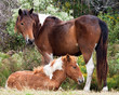 Photo: Nurture Nature Nurture Nature