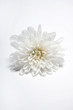 White flower