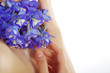 Photo: Flowers Flowers