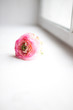 Photo: Flower Flower