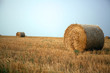 Stacks of straw