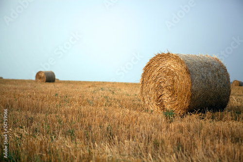 Photo: Stacks of straw Stacks of straw