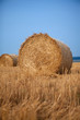 Stack of hay