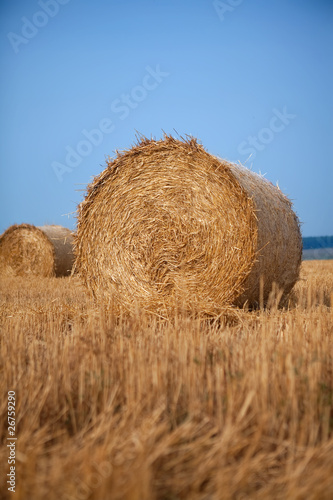 Photo: Stack of hay Stack of hay