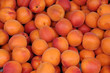 étal d’abricots au marché étal d’abricots au marché