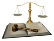 Legal Gavel and Book