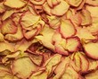 Rosenblätter