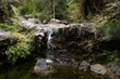 Cascade du Bras Rouge - Cilaos Cascade du Bras Rouge - Cilaos