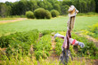 Scarecrow