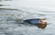 Pike on hook in water Pike on hook in water