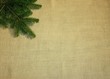 Tannenzweig auf Jute im Hintergrund