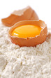 Broken egg with shells on flour, white backdrop Broken egg with shells on flour, white backdrop