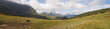 French mountains with green grass and horses