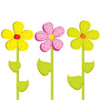 three bright flower three bright flower