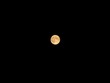 Moon Moon