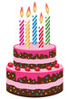 vector birthday cake with burning candles vector birthday cake with burning candles
