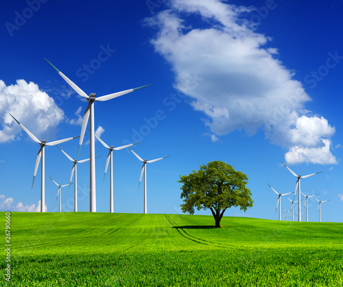 Foto: Ecology - Wind of change Ecology - Wind of change