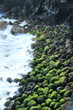 plage de galets moussus, 