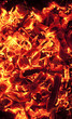 coals coals