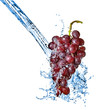 blue grape with water splash isolated on white