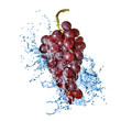 blue grape with water splash isolated on white