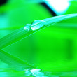 water drop
