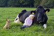 Kind und Kuh