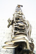 clarinet
