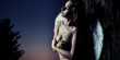 Romantic young beauty as an angel Romantic young beauty as an angel