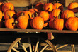 pumpkins display