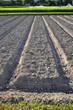 Soil preparation land ready