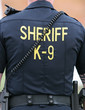 Sheriff K-9 Unit