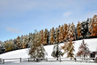 inverno in Alto Adige inverno in Alto Adige