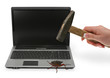 concept of computer bug