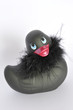 Canard