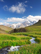 River on meadow